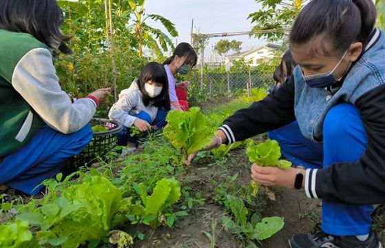 2024「食育福袋」- 孩子們的第一堂食育課